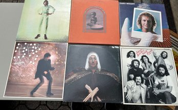 Lot Of Six Vinyl Records: Peter Wolf, The Who Etc