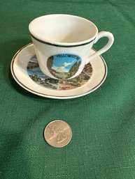 Yellowstone National Park Cup & Saucer Souvenir Lusterware Made In Japan