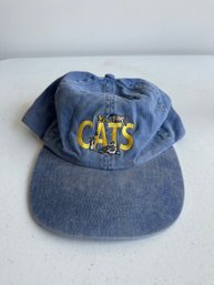 Cats Hat