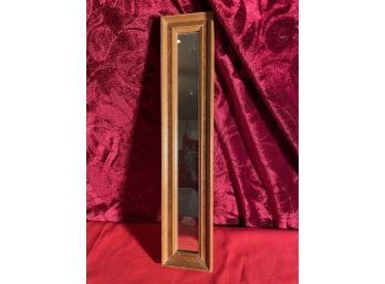 Long Thin Mirror 17.5in Tall