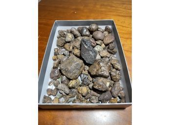 Box Of Fossils/Minerals