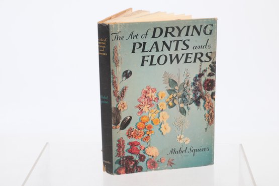 1958 'The Art Of Drying Plants & Flowers' By Mabel Squires With Dust Jacket