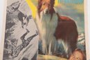 27' X 41' 1951 Movie Poster MGM Presents Lassie In 'The Painted Hills' Lowe's Inc.