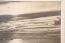 15' X 18 1/2' Photograph Mounted On Carboard WWII TMB Avenger In Flight