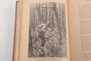 1875 (1st Edition?) 'Farm Legends' By Will Carleton'