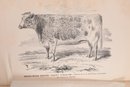 1869-70 Edition Agriculture Of Massachusetts Board Of Agriculture Report Book