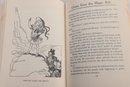 1900's 'Dorothy And The Wizard Of Oz' John R. Neill Illustrator The Reilly & Lee