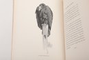 1901 'Wildlife Near Home' Dallas Lore Shart Illus. Bruce Horsfall