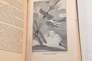 1947 'The Red Knight Of Germany' Baron Manfred Von Richthofen By Floyd Gibbons