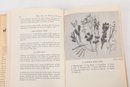 1958 'The Art Of Drying Plants & Flowers' By Mabel Squires With Dust Jacket
