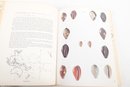 Natural History Books : Conchology, Natural History, Science  Map Of The Adirondacks
