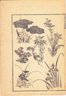 Lot Of 10 Authentic 19th Century Hokusai Woodblock Prints: Plants & Trees
