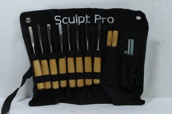 Sculpt Pro 16 Piece Chisel Carving Set  New