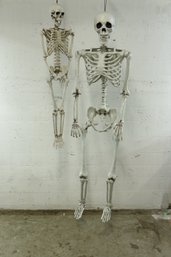 Pair Of Plastic Skeletons Child And Adult