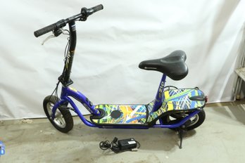 E500 EZip Electric Scooter