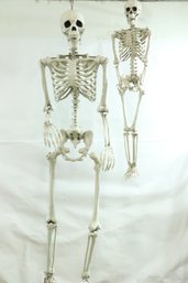 Pair Of Life Size Plastic Skeletons Adult And Child