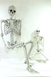 Plastic Full Size Adult & Child Human Skeletons