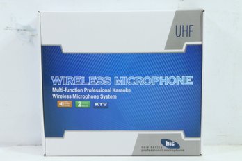 Multi Function Professional Karaoke Wireless Microphone System 2 Mics New