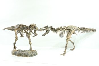 Pair Of T-Rex Dinosaur Skeleton's