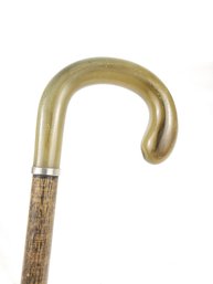 Rams Horn Walking Stick