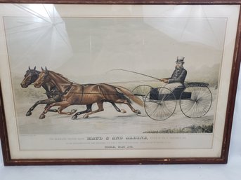 Horse And Buggy Print Titled 1884 E.D. Slater The Celebrated Trotting Mares Driven  Mr Vanderbilt 25 1/2 'x36'