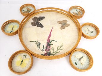 Bamboo Butterfly Coaster Set