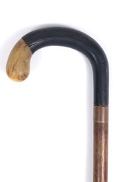 Horn Handle Came Walking Stick