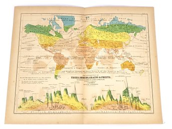 1856 Map Engraved By G.W. Boynton Of Trees, Shrubs, Grains And Fruits In The World