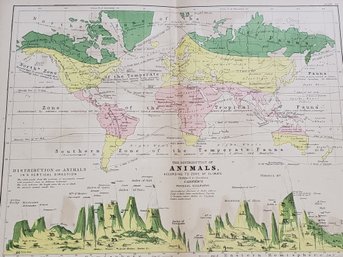 1856 Distribution Of Animals Map