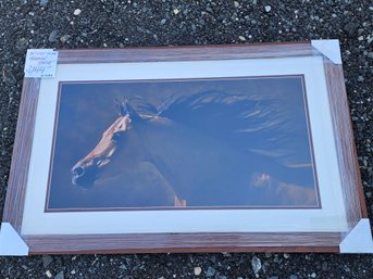 Large Print Of Arabian Horse - New Old Stock