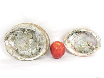 Pair Of Large Abalone Shells, 9' White And 7' Red