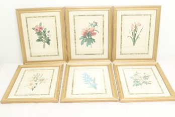 6 Gold Framed Vintage Botanical Prints/Lithographs