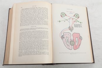 Medical Book:  DISEASES OF THE  NOSE, THROAT AND EAR, Color Plates