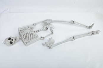 Plastic Human Skeletons With Broken Bones