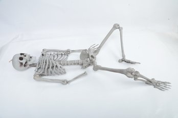 Plastic Full Size Adult & Child Human Skeletons