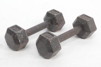 Pair Of 10 Pound Hex Dumbbell