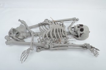 Adult Sized Plastic Halloween Skeleton