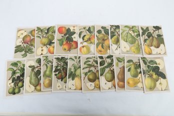 Vintage German Fruit Prints