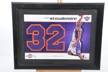 Framed Amare Stoudemire Upper Deck Jersey Number Collection