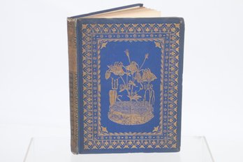 WOODSIDE AND SEA-SIDE, 1870, ILLU BY PEN  & PENCIL ,NEW YORK: D. APPLETON AND COMPANY 90, 92 & 94 GRAND ST.