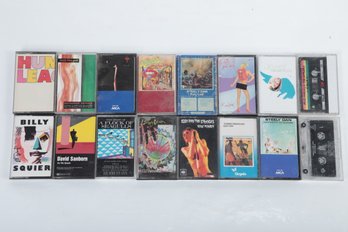 16 Mixed Cassette Tapes: Steely Dan, Iggy Pop, David Sanborn & More