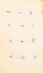 1889 With Color Plates Of Tied Flies,  COMPLETE ANGLER BY IZAAK WALTON WITH THE PRACTICAL FLY-FISHER 1889