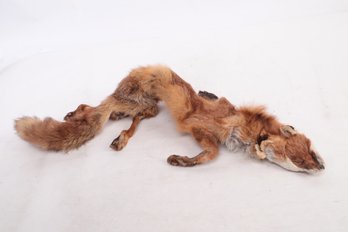 Vintage Fox Pelt