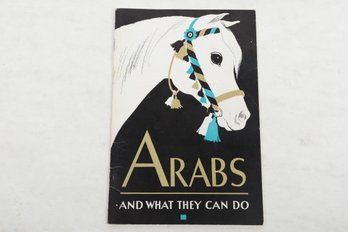 (Equestrian) ARABS And What They Do
