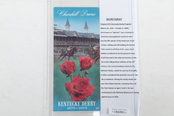 Kentucky Derby Secretariat Original 1973 Program