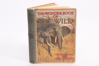The Wonder Book Of The Wild , W/ 12nCOLOUR PLATES & Over 200  Other Illustrations