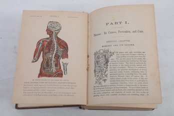 1897 HOME PLAIN TALK - MEDICAL COMMON SENSE , BY EDWARD B. FOOTE, OVER 200 ILLUSTRATIONS