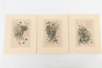 Nature Prints 19th Century Chromo Lithographic Plates