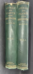 SCIENCE Darwin,  London 1868, Variation Of Animals And Plants Under Domestication, 2 Vols. First Ed.