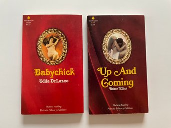 2 Midwood Books 38-298: Babychick By Odda De Lazzo 38-334: Up And Coming By Bruce Elliot